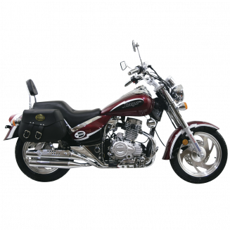 RAYO 175