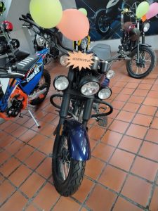 RENEGADA 250 ZH250-EW2 | 2025 | 3CUU2AXN8SX000152