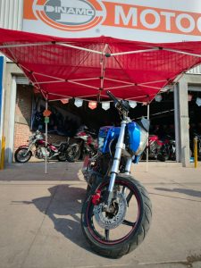 SPORT R2 DNM-R2 ZH250-DW | 2024 | 3CUP2ARR4RX000091