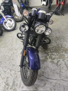 RENEGADA 250 ZH250-EW2 | 2025 | 3CUU2AXNXSX000055