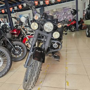 RENEGADA 250 ZH250-EW2 | 2025 | 3CUU2AXN5SX000402