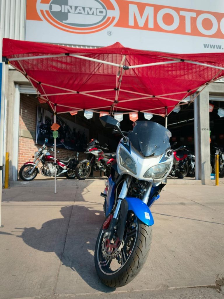 SPORT R1 YCR250-3 2025